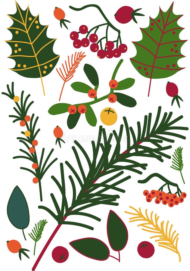 Hojas y Beriies, puntillas del espino cerval de mar, serbal, Viburnum, pino, modelo inconsútil floral, vector estacional de la de libre illustration Hojas y Beriies, puntillas del espino cerval de mar, serbal, Viburnum, pino, modelo inconsútil floral, vector estacional de la de libre illustration