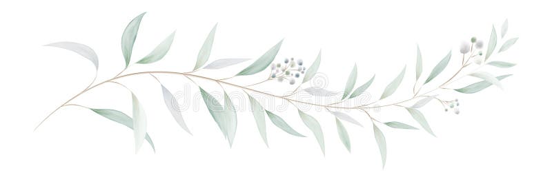 Watercolor green bouquet with eucalyptus leaves and branches. Greenery leaf hand-painted isolated. Can be used as being an element in the decorative design of invitation, wedding or greeting cards. Watercolor green bouquet with eucalyptus leaves and branches. Greenery leaf hand-painted isolated. Can be used as being an element in the decorative design of invitation, wedding or greeting cards