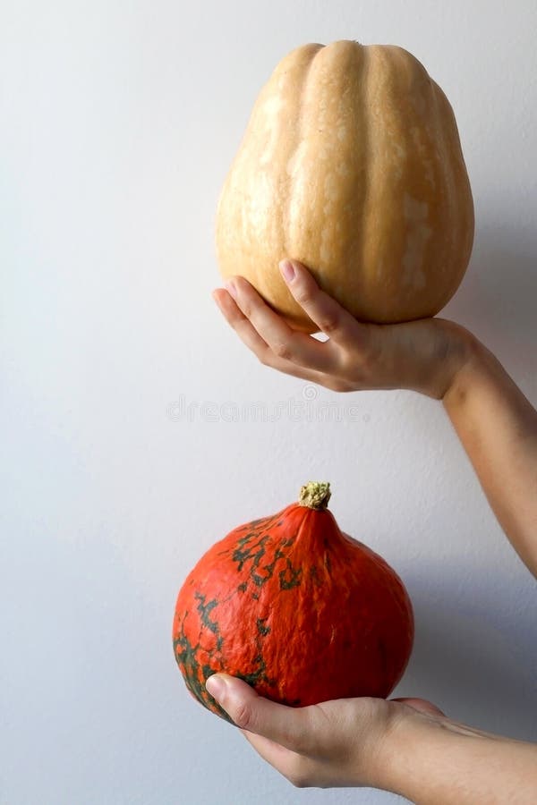 Hokkaido Pumpkin and Butternut Squash zdjęcie stock