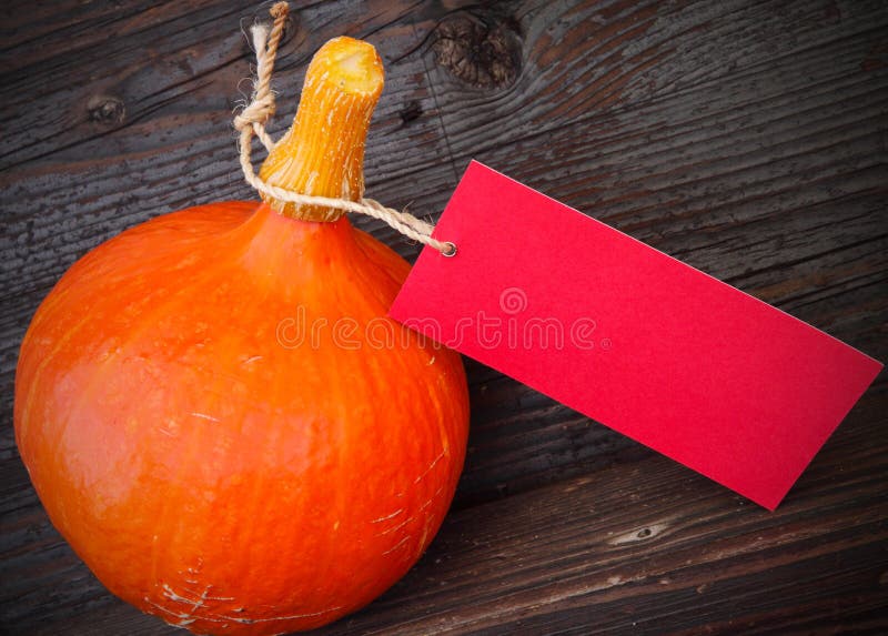 Hokkaido Pumpkin Growing in Garden Stock Image Image of stalks