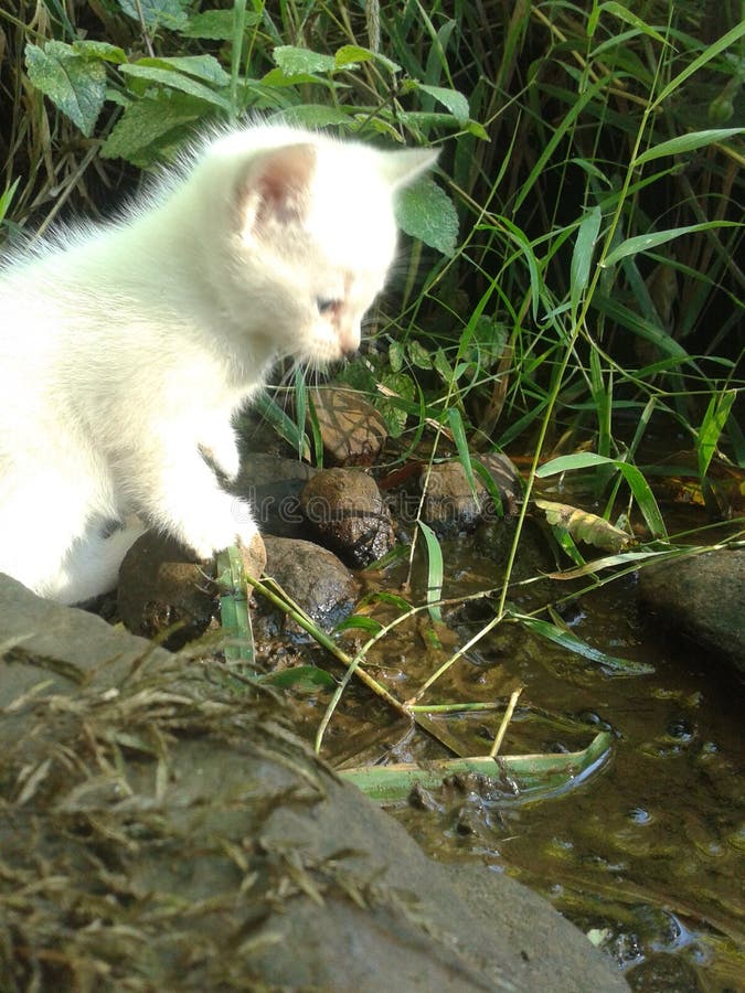 Vanessa Larson (11flutt3rby3) Photographer profile