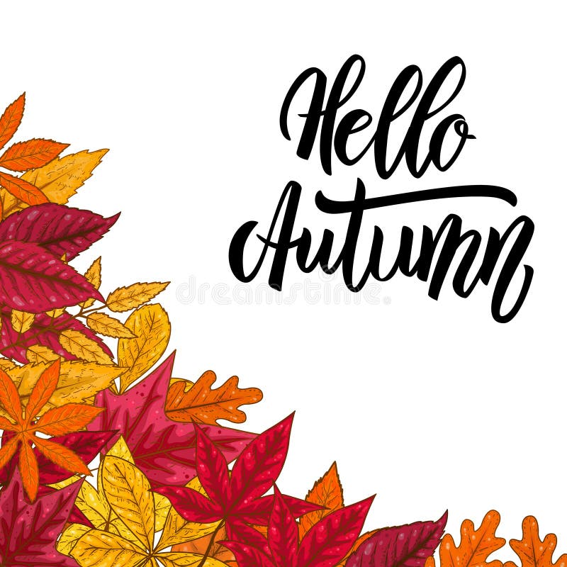 Hola otoño Frontera con las hojas de otoño Diseñe el elemento para el emblema, cartel, tarjeta, bandera, aviador, folleto libre illustration Hola otoño Frontera con las hojas de otoño Diseñe el elemento para el emblema, cartel, tarjeta, bandera, aviador, folleto libre illustration