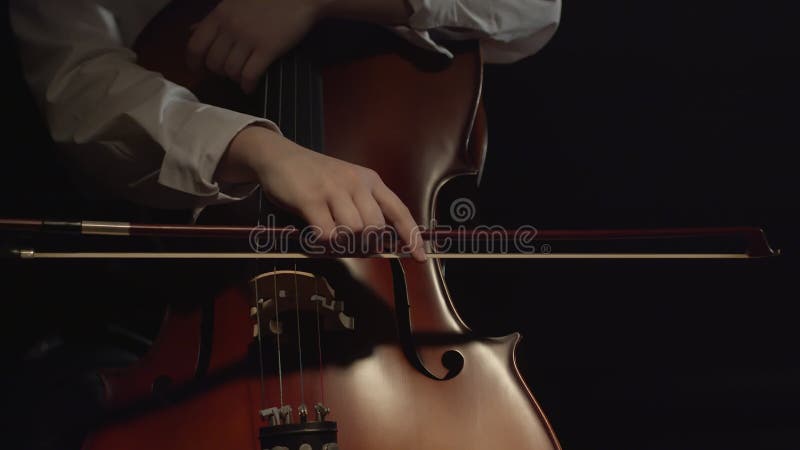 Hold the bow next to cello, closeup. Caucasian woman in a white shirt hold a cello in her hand and put bow to strings stock video