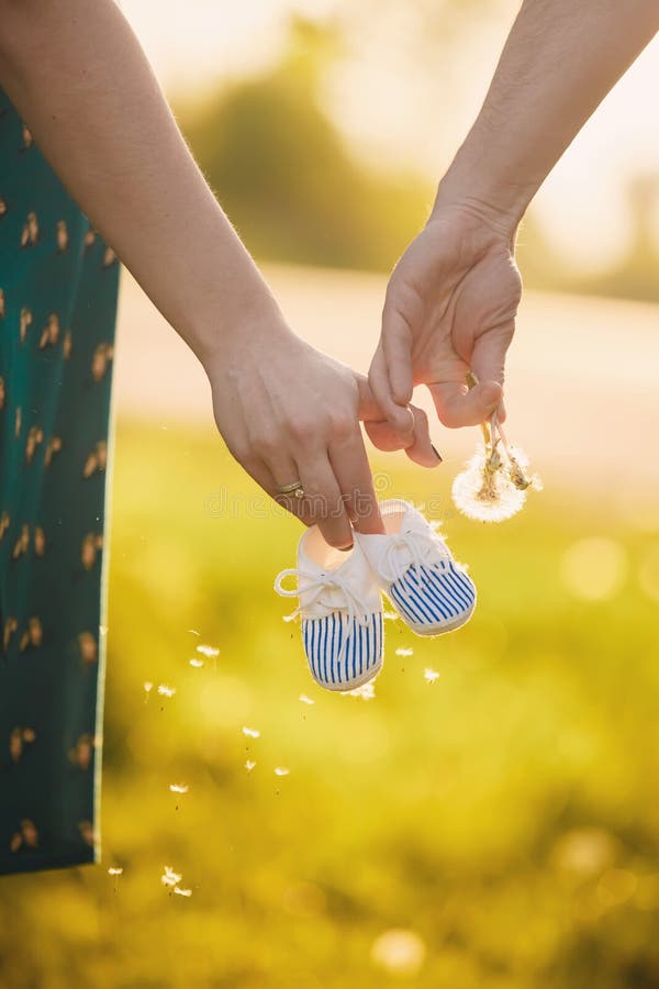 Hold hands. future family. a young family is waiting to be replenished. mother holds baby boots, dad holds dandelion royalty free stock photography Hold hands. future family. a young family is waiting to be replenished. mother holds baby boots, dad holds dandelion royalty free stock photography