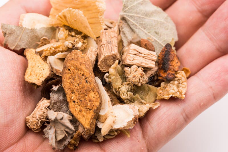 Holding Chinese Traditional Herbs. Stock Photo Image of medicinal