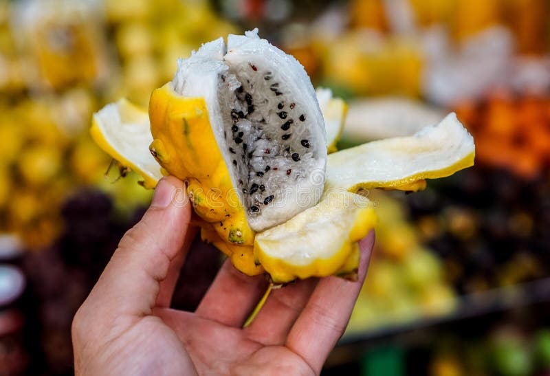 Dragon Fruit in Colombia royalty free stock photos Dragon Fruit in Colombia royalty free stock photos