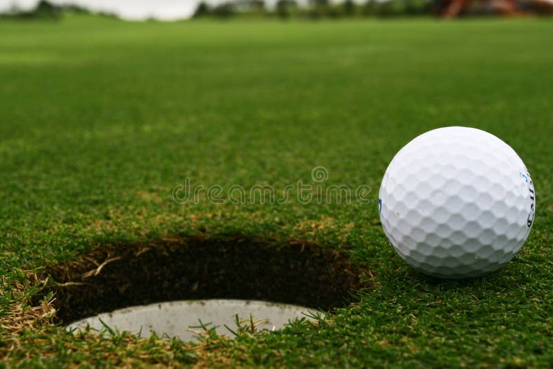 Download In the hole stock photo. Image of green, speckled, hole - 460314