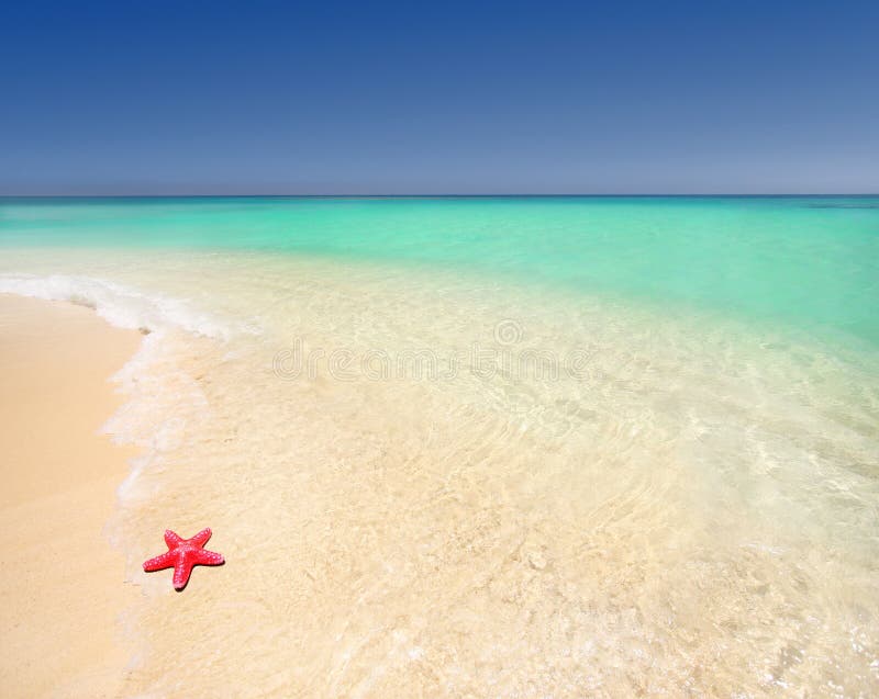 Holiday beach royalty free stock photos