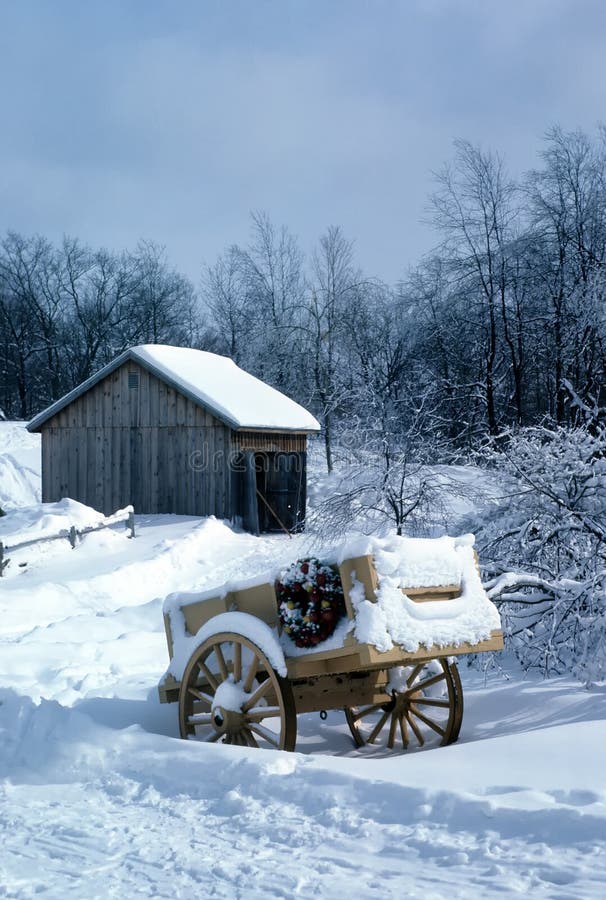 Holiday cart