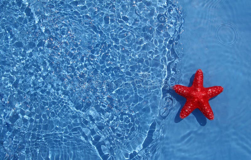 Holiday concept royalty free stock images