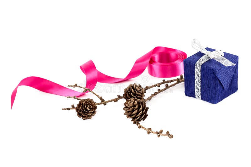 Holiday gift, pink ribbon and a branch of pine tree with cones