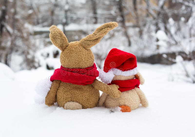Holiday rabbit stock photo. Image of outdoor, scarf, happy 28191472
