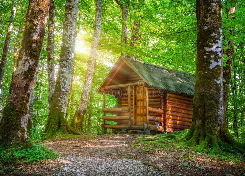 Biogradska Gora National Park