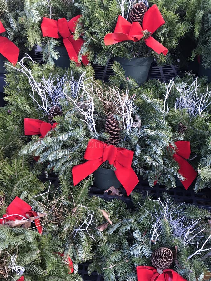 Holiday Wreaths with Red Bow Stock Photo Image of holiday, wreaths