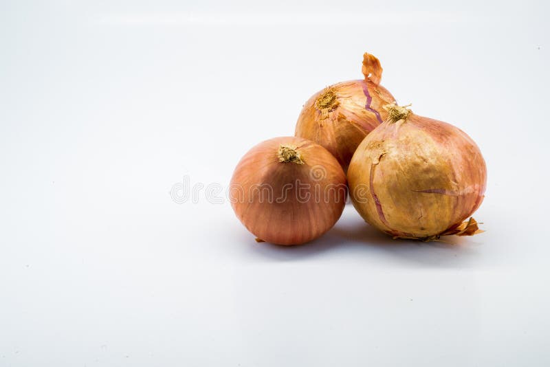 Big Shallots Stock Photos - Free & Royalty-Free Stock Photos from