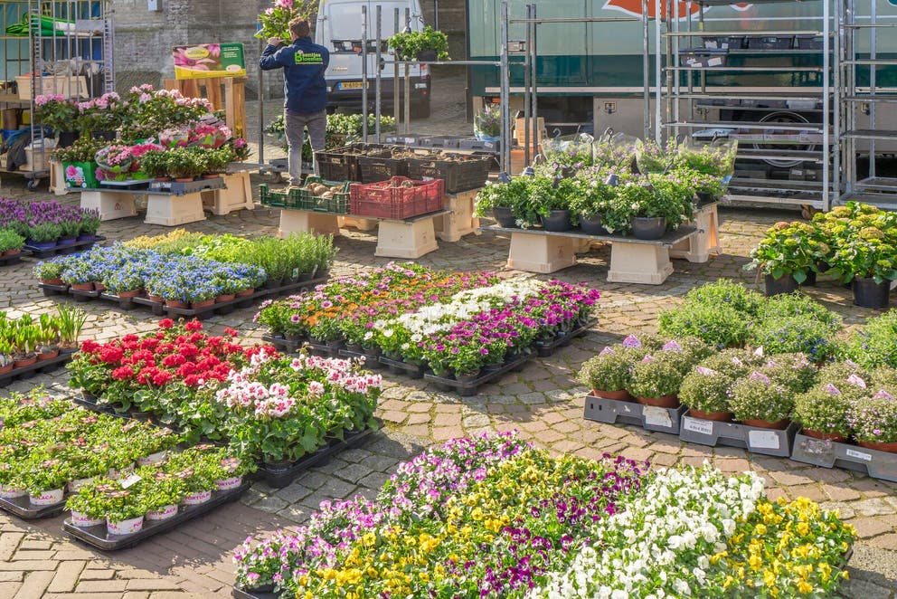 Greenhouse for Flowers in Winter Time Stock Image - Image of growth, nature: 169621657