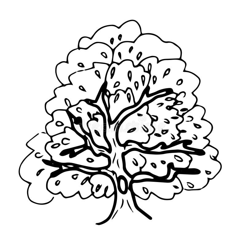 Outline Hollow Tree Stock Illustrations 162 Outline Hollow Tree Stock