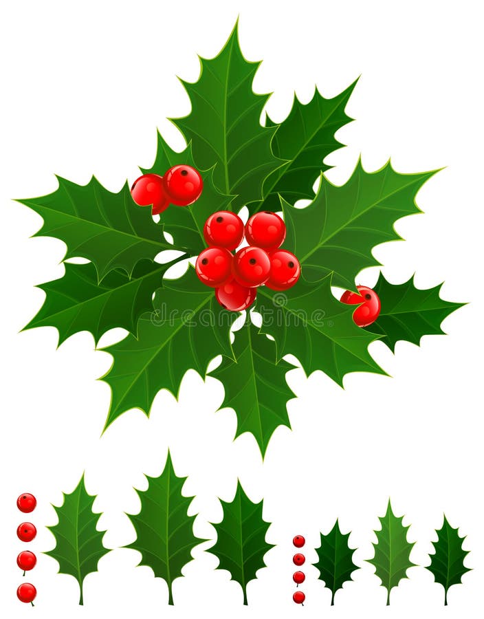 Holly berry