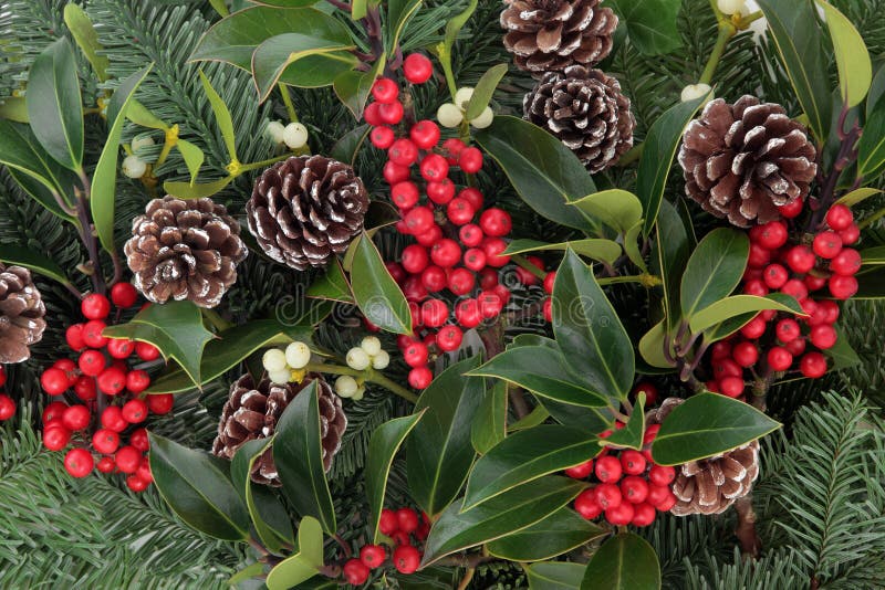 Winter and christmas background with red holly berry clusters, mistletoe, spruce fir leaf sprigs and pine cones. Winter and christmas background with red holly berry clusters, mistletoe, spruce fir leaf sprigs and pine cones.