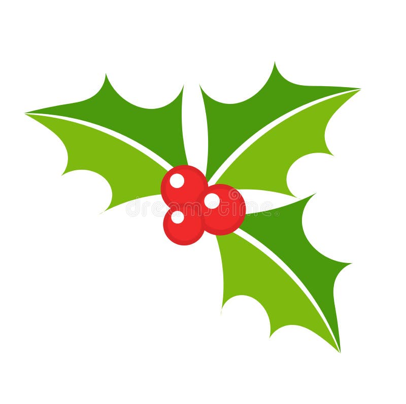 Holly berry vector