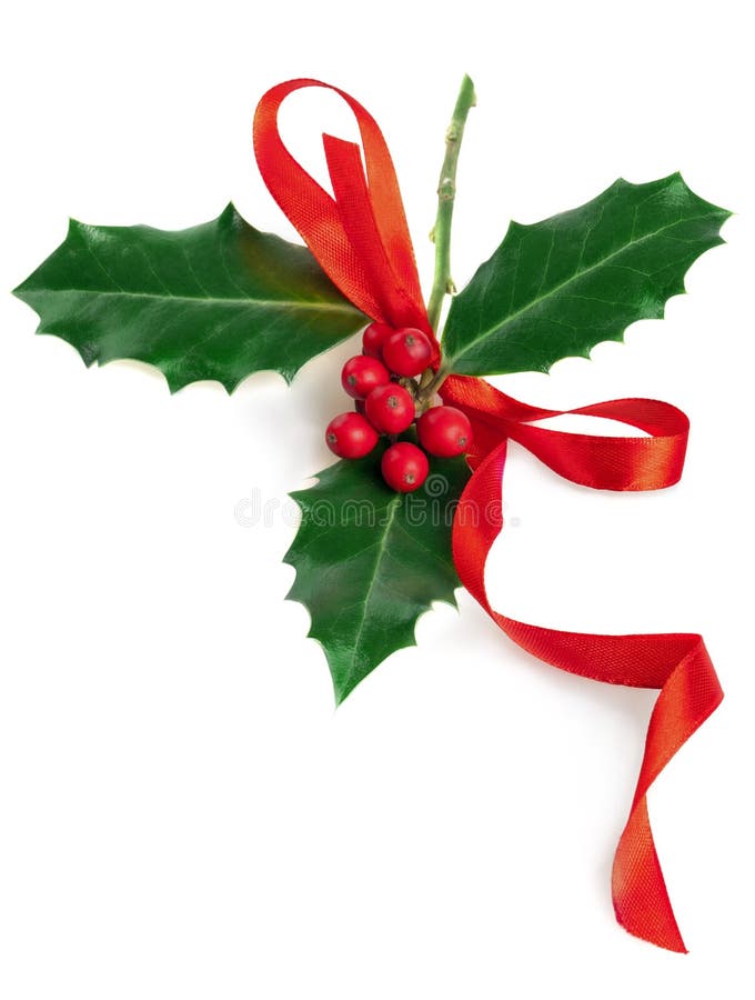 Christmas wrapping ribbon with holly, Christmas - Stock Illustration  [82172765] - PIXTA