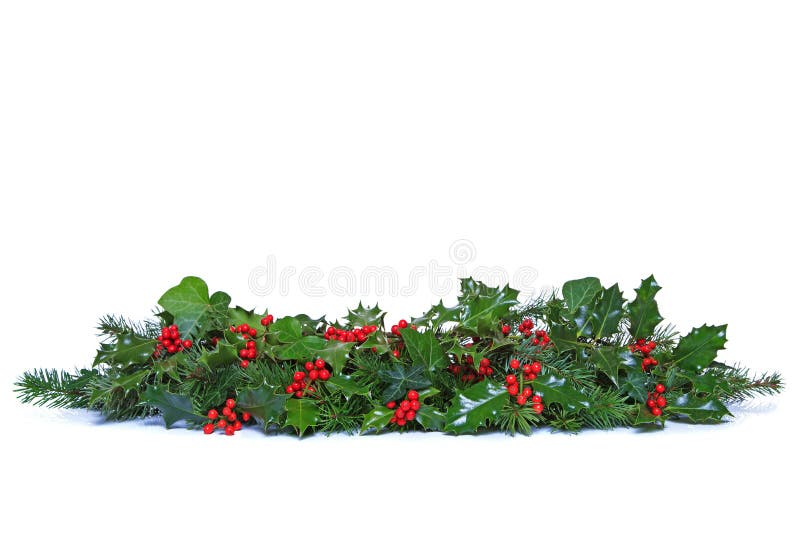 A traditional Christmas garland made from fresh holly with red berries, green ivy leaves and sprigs of conifer spruce. Isolated on a white background. A traditional Christmas garland made from fresh holly with red berries, green ivy leaves and sprigs of conifer spruce. Isolated on a white background.