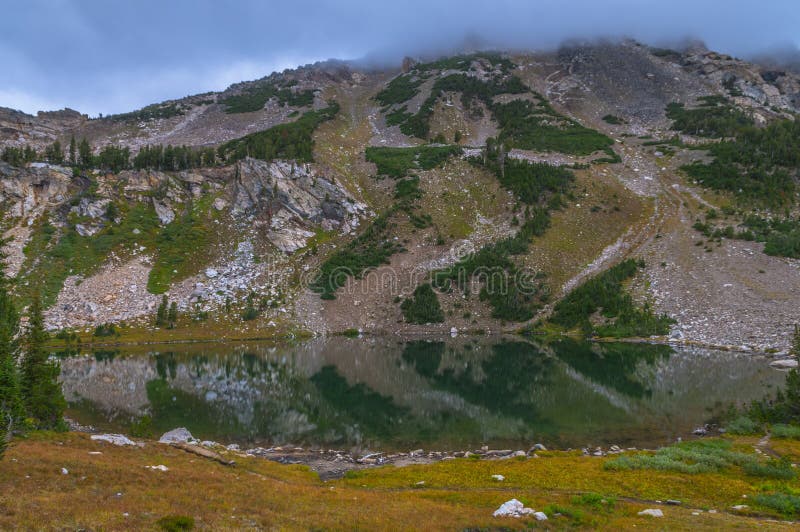 Holly Lake Paintbrush Canyon Stockfoto Bild von wiese, pinsel 34820648