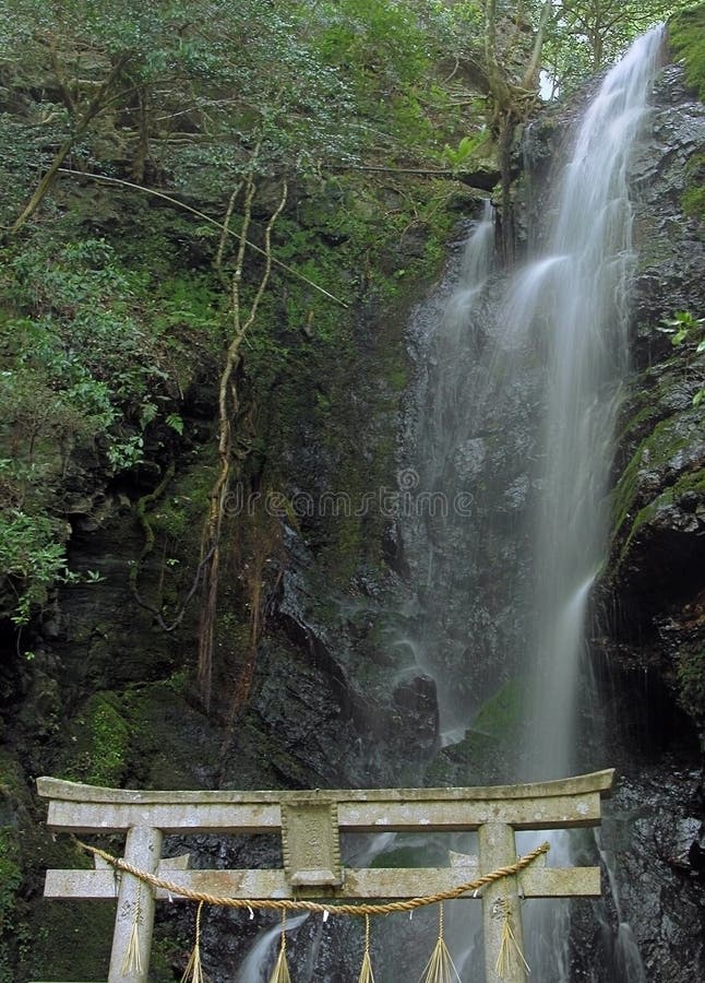 Holly waterfall