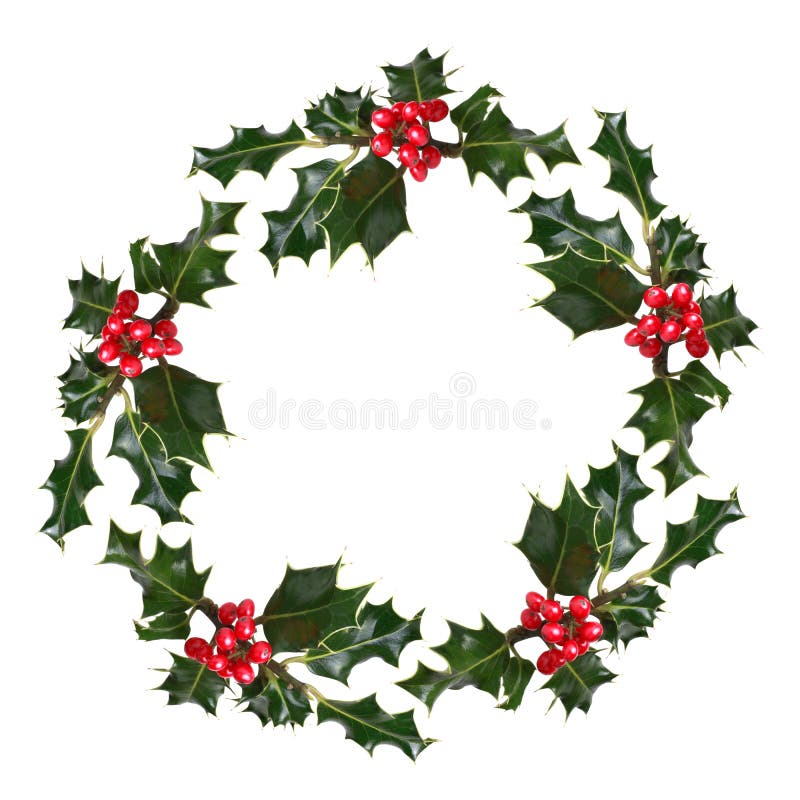 Holly leaf sprigs with red berries forming a circular wreath, over white background. Holly leaf sprigs with red berries forming a circular wreath, over white background.