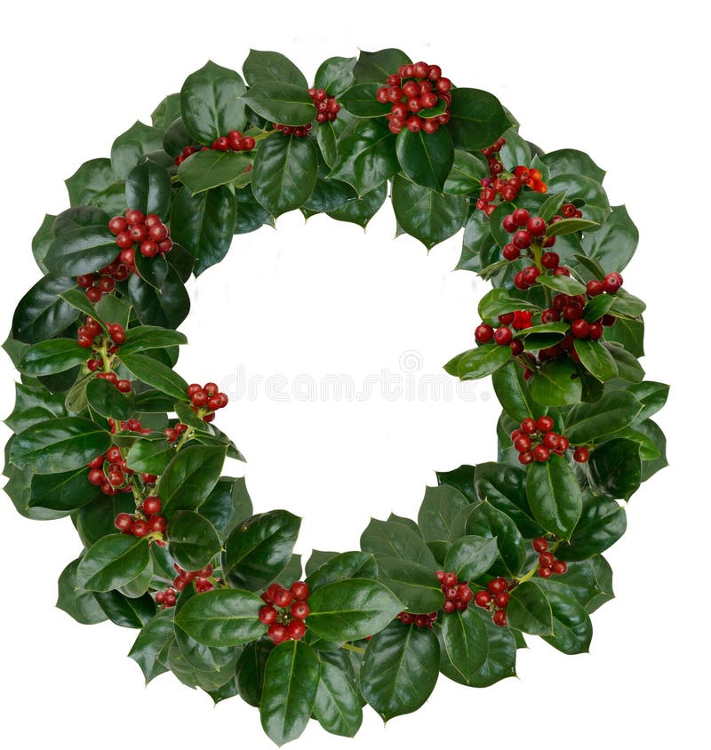 Holly Wreath stock image. Image of holly, photograph 22434687