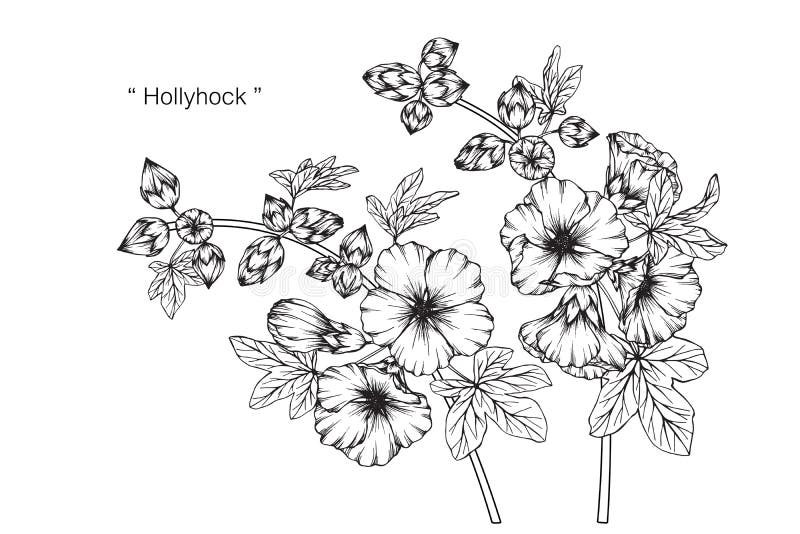 Hollyhock Tattoos  Tattoofilter