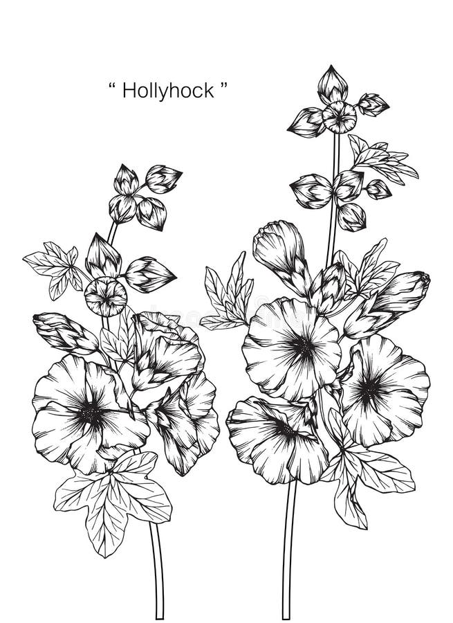 Top 74+ hollyhock flower tattoo latest - in.eteachers