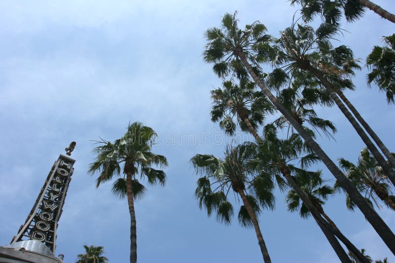 Hollywood and palmtrees