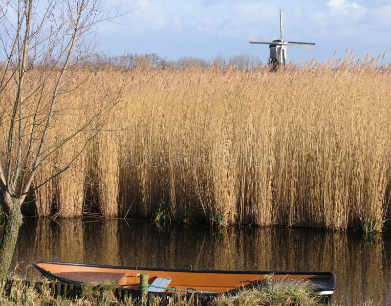 Holländische Reedlandschaft 1 lizenzfreie stockbilder Holländische Reedlandschaft 1 lizenzfreie stockbilder