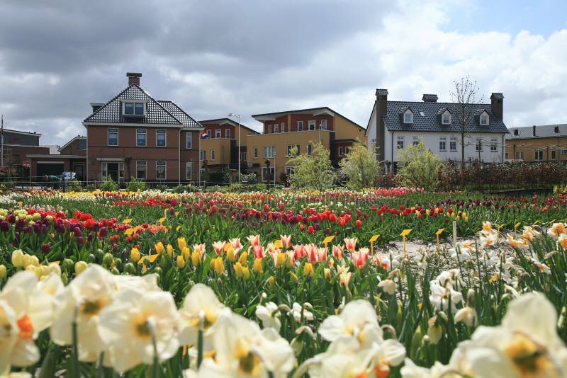 holländsk fjädertown royaltyfri fotografi holländsk fjädertown royaltyfri fotografi