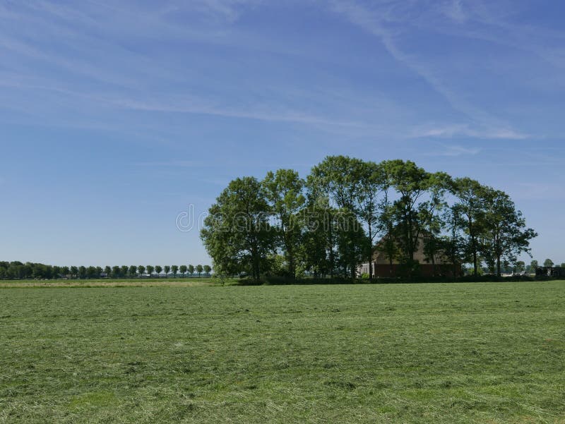 Holländsk lantgård på landssidan arkivfoton Holländsk lantgård på landssidan arkivfoton
