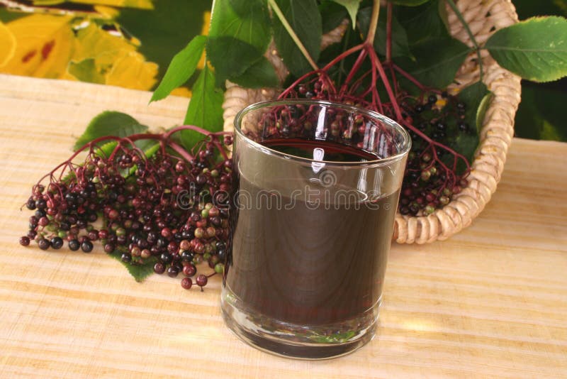 Elderberry juice with elder berries on a branch with leaves. Elderberry juice with elder berries on a branch with leaves