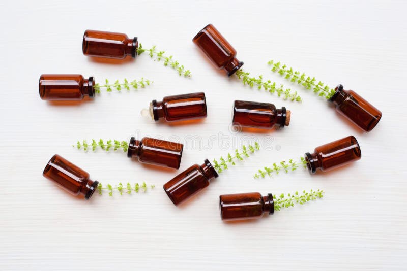 Holy Basil Essential Oil with Holy Basil Flower. Stock Photo Image of