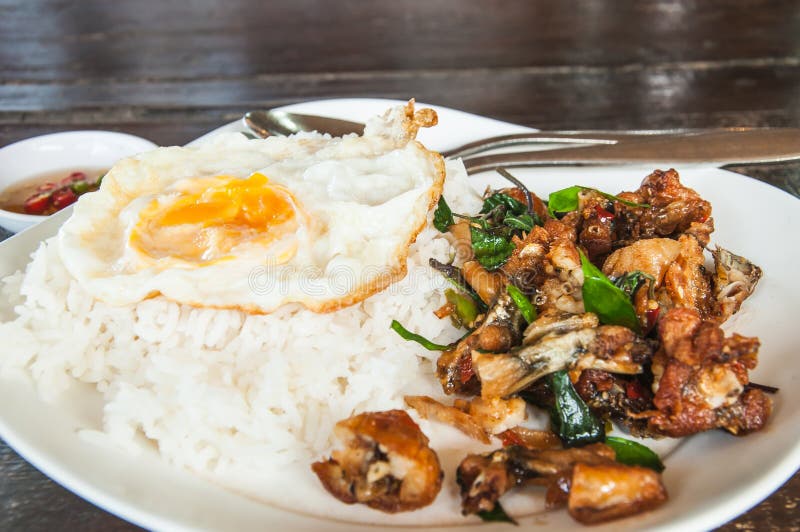 Holy Basil Fried Frog and Fried Eggs, Jasmine Rice Stock Image Image