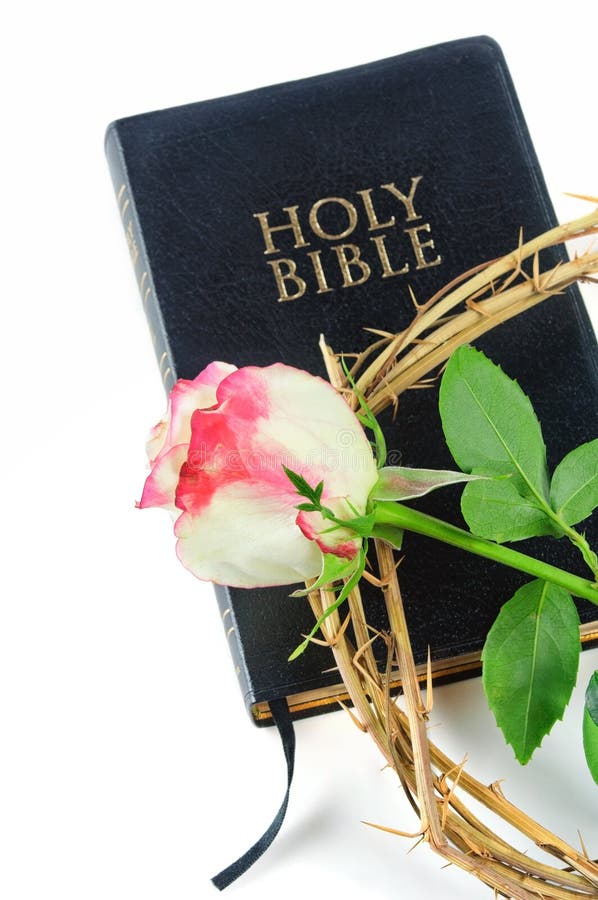 Holy Bible and Crown of Thorns with Rose Stock Image Image of background, concept 23919485
