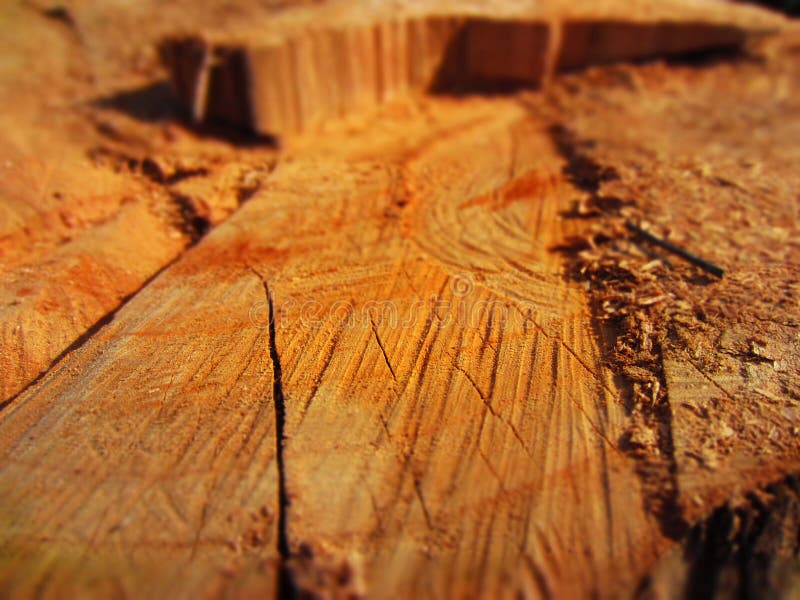 Holz stockbild Holz stockbild