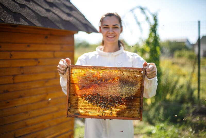 Holzrahmen des jungen weiblichen Imkergriffs mit Bienenwabe Sammeln Sie Honig Imkereikonzept lizenzfreie stockfotografie Holzrahmen des jungen weiblichen Imkergriffs mit Bienenwabe Sammeln Sie Honig Imkereikonzept lizenzfreie stockfotografie