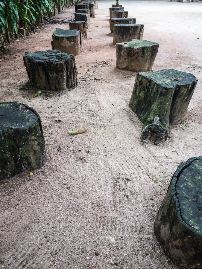 Holzstühle Im Garten Stockfoto Bild von sitz