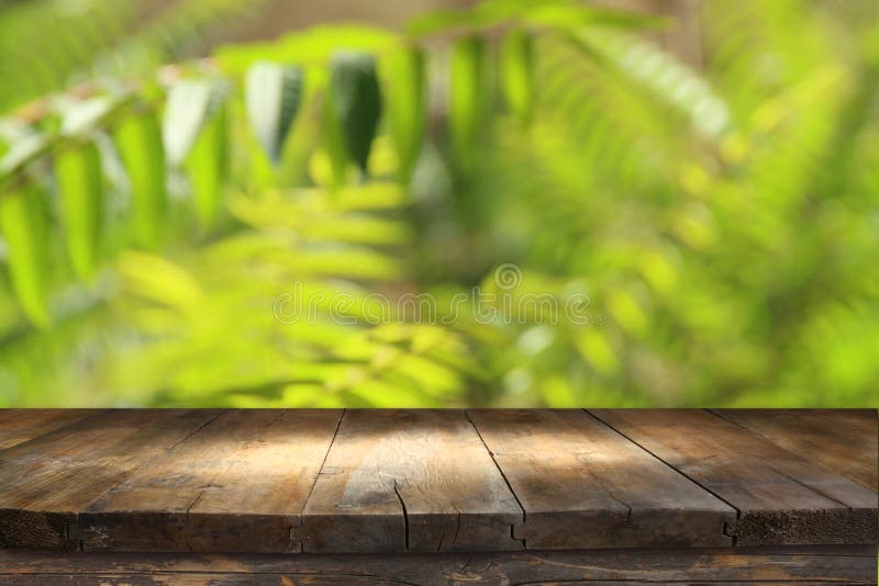 Holztisch vor tropischem grünem Blumenhintergrund für Produktanzeige und -darstellung lizenzfreies stockfoto Holztisch vor tropischem grünem Blumenhintergrund für Produktanzeige und -darstellung lizenzfreies stockfoto