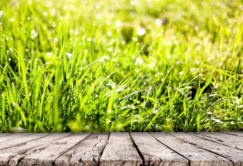 Holztischspitzen- und -frühlingsgrasnaturhintergrund lizenzfreies stockfoto Holztischspitzen- und -frühlingsgrasnaturhintergrund lizenzfreies stockfoto