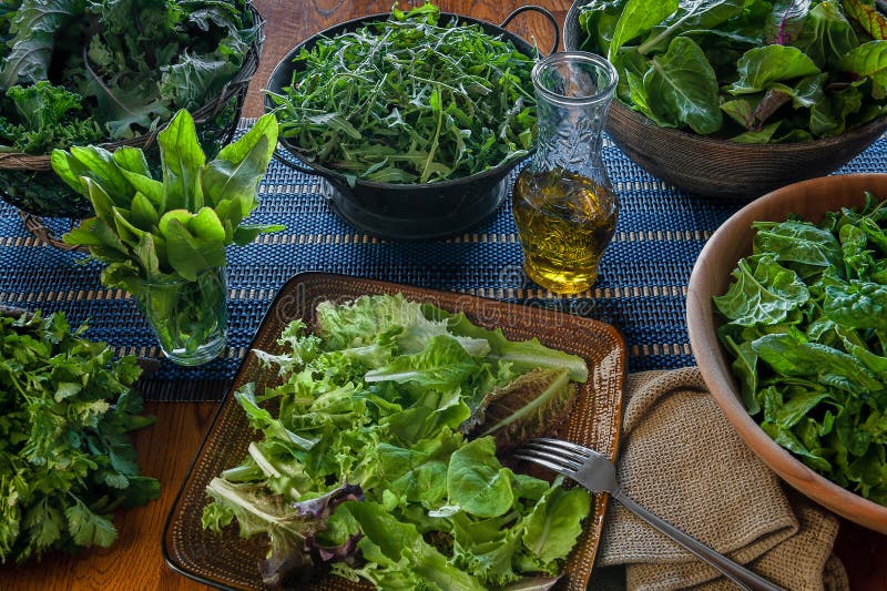 A variety of freshly picked leafy greens ready for salad making