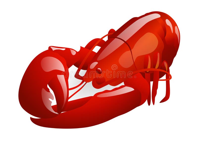 homar czerwień ilustracji homar czerwień ilustracji