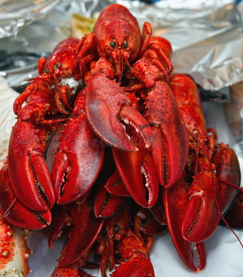 Homary Zdjęcia Stock Pobierz 3,515 Zdjęcia Royalty Free