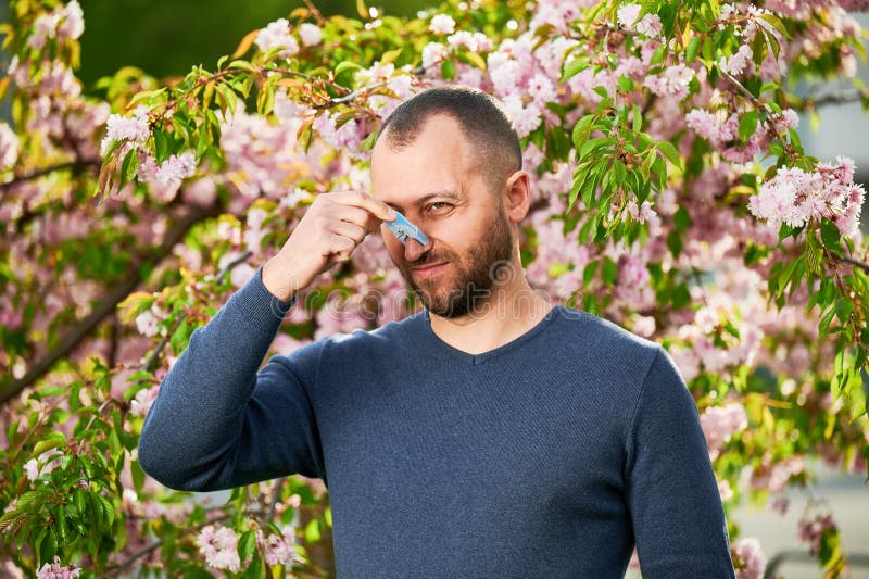 Man allergic suffering from seasonal allergy at spring. Bearded man with clothespin clipped to his nose - symbolic gesture of his inability to breathe due to nasal congestion near blooming tree. Man allergic suffering from seasonal allergy at spring. Bearded man with clothespin clipped to his nose - symbolic gesture of his inability to breathe due to nasal congestion near blooming tree.