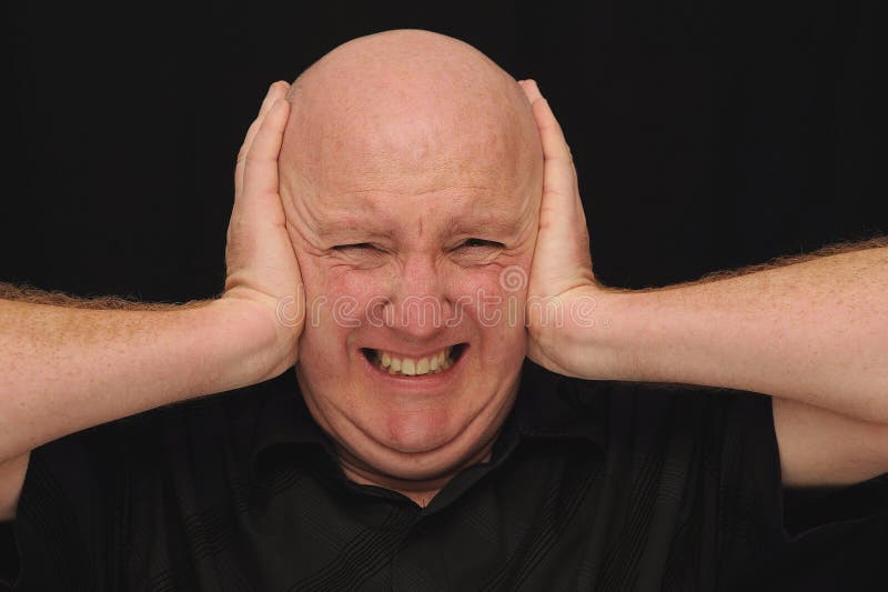 Bald Caucasian Man holding his head and ears as if he is in pain or frustrated. Bald Caucasian Man holding his head and ears as if he is in pain or frustrated.